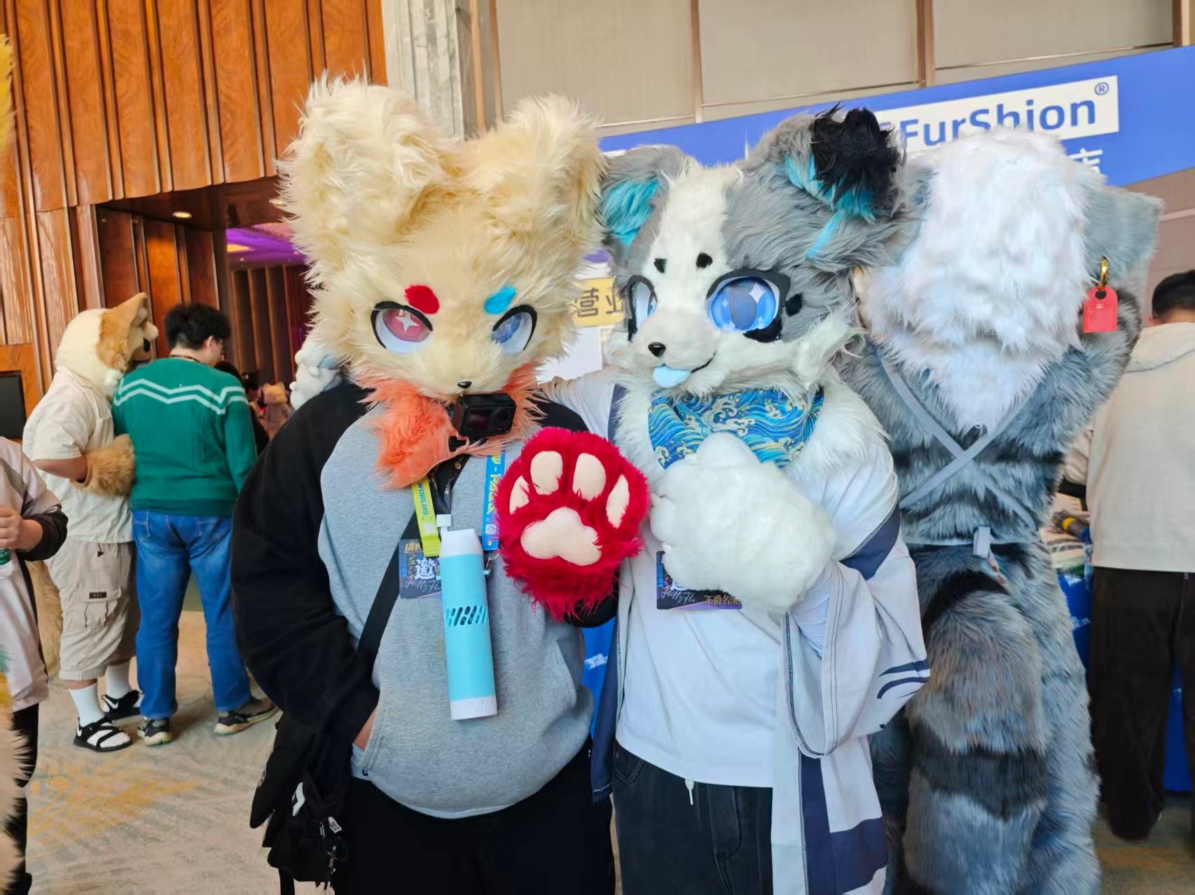 FurShion